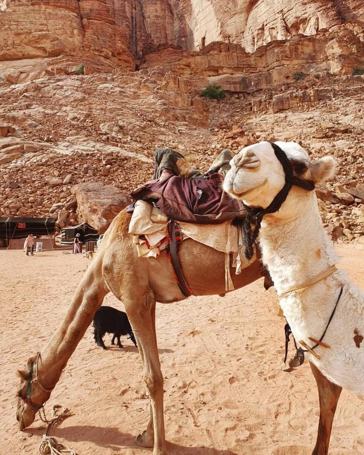 Bedouin Memories Camp Bed & Breakfast Ram Vadisi Dış mekan fotoğraf